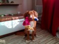 /album/a6-12-mesiacov/a20121023-140956-980x735-jpg/